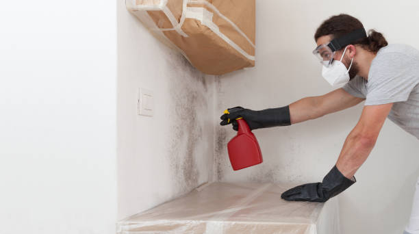 Professional Bathroom Mold Removal technician working in Berkeley Heights, NJ